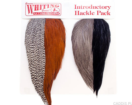 Whiting Farms Introductory Hackle Pack