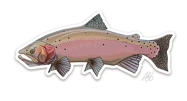 Casey Underwood Lahontan Cutthroat Decal Sticker – Ed's Fly Shop