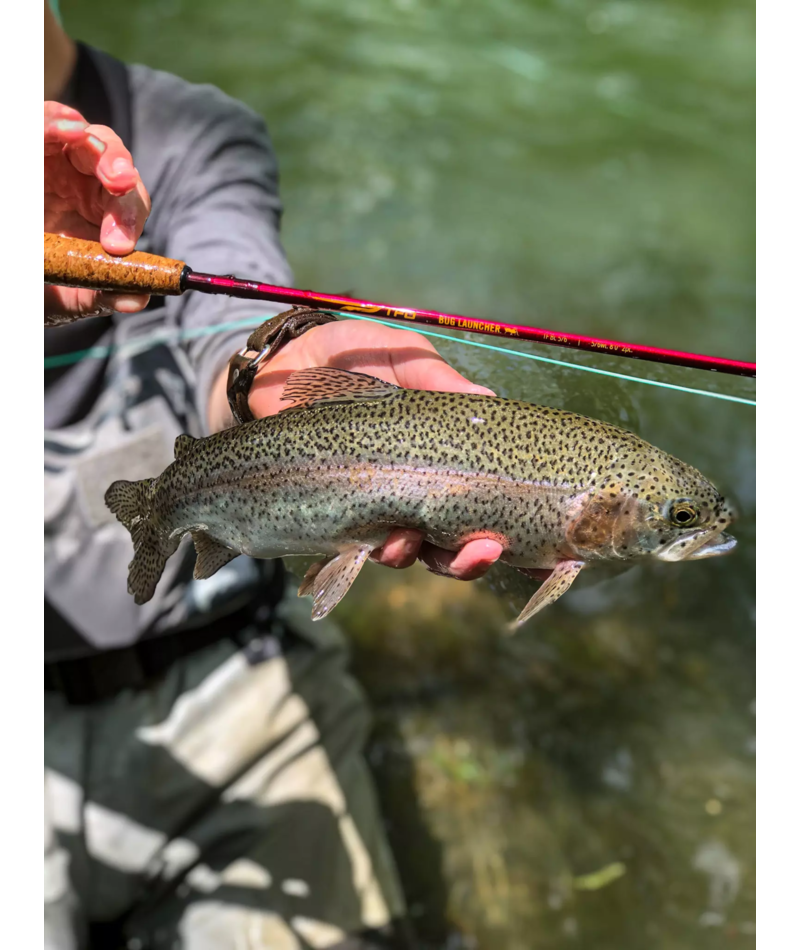TFO Bug Launcher Fly Rod - view 3