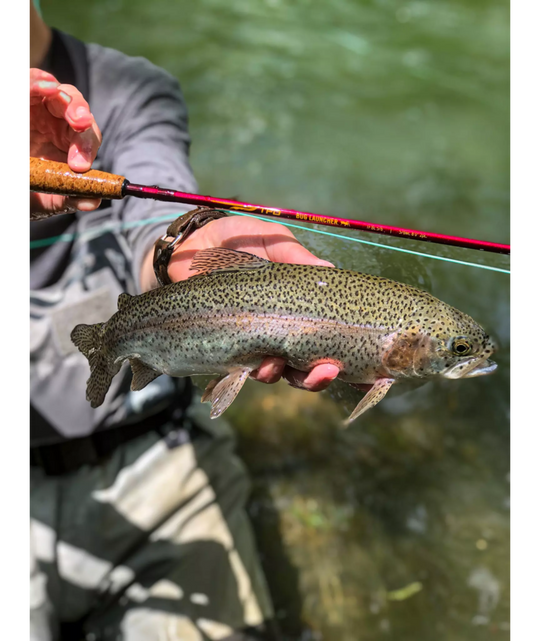 TFO Bug Launcher Fly Rod - view 3