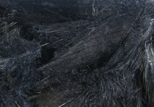Hareline Dyed Mallard Flank Feathers Black