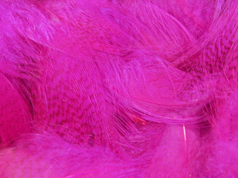 Hareline Dyed Mallard Flank Feathers Fl. Fuchsia