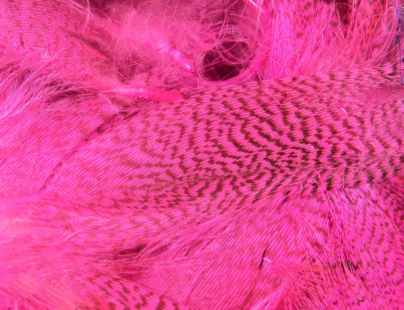 Hareline Dyed Mallard Flank Feathers Hot Pink