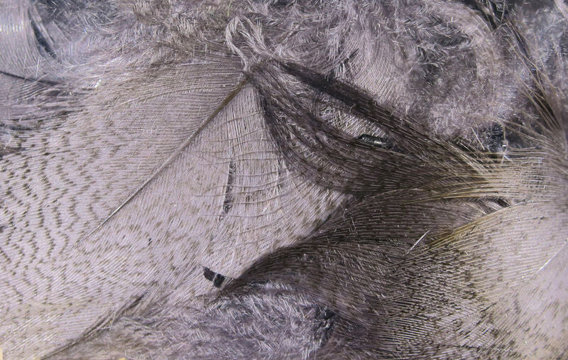 Hareline Dyed Mallard Flank Feathers Medium Dun