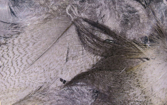 Hareline Dyed Mallard Flank Feathers Medium Dun