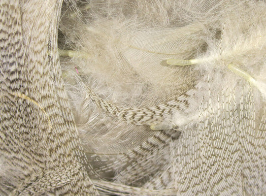 Hareline Dyed Mallard Flank Feathers Natural