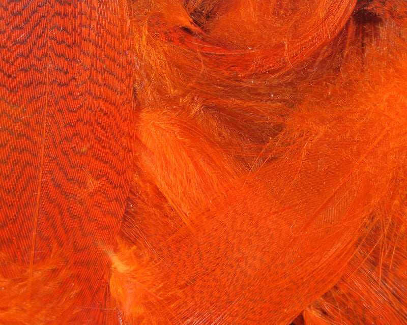 Hareline Dyed Mallard Flank Feathers Orange