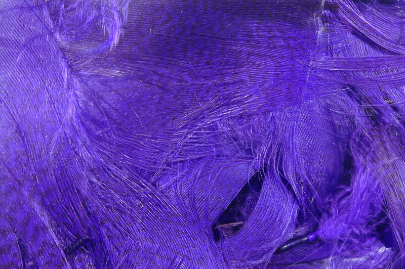 Hareline Dyed Mallard Flank Feathers Purple