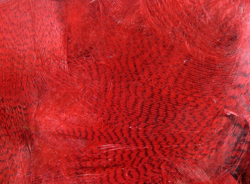 Hareline Dyed Mallard Flank Feathers Red