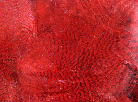 Hareline Dyed Mallard Flank Feathers Red