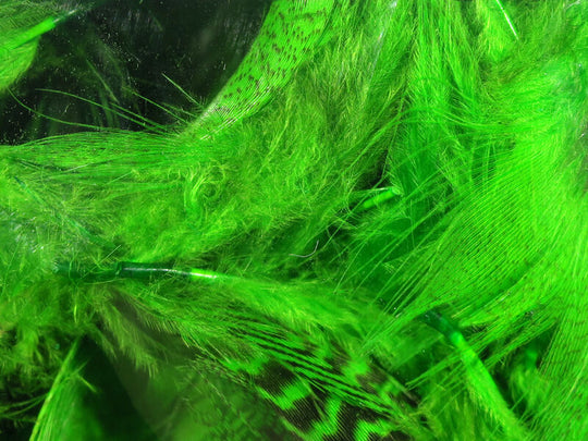 Hareline Dyed Mallard Flank Feathers Bright Green