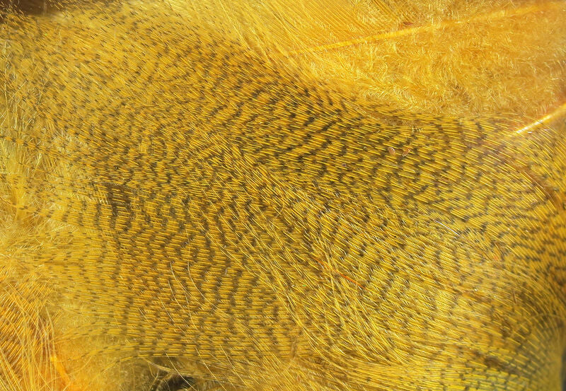 Hareline Dyed Mallard Flank Feathers Wood Duck Gold