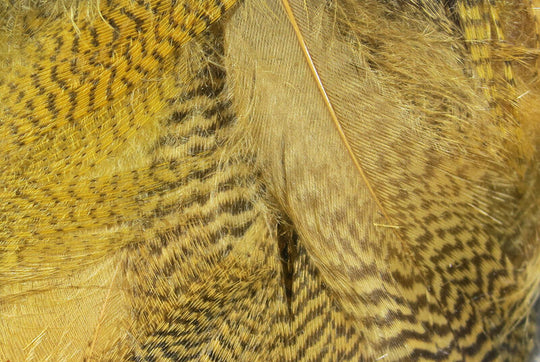 Hareline Dyed Mallard Flank Feathers Wood Duck Tan