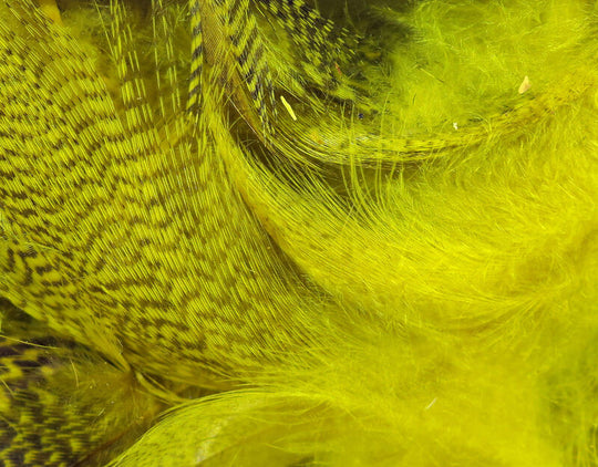 Hareline Dyed Mallard Flank Feathers Yellow
