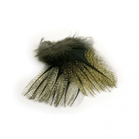 Petitjean PARDO Feathers