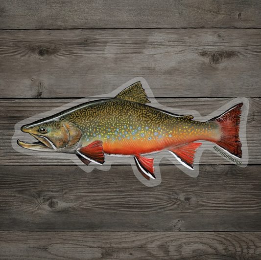 Rep Your Water - Brookie Medium Sticker