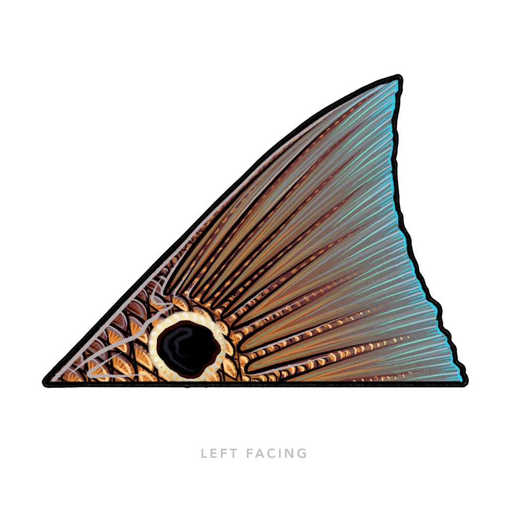 Casey Underwood Tailing Redfish Decal Sticker