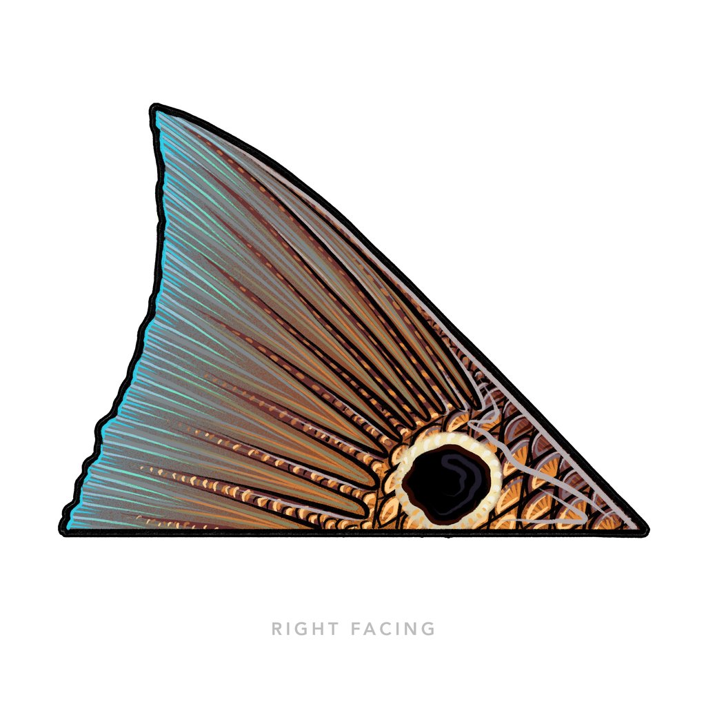 Casey Underwood Tailing Redfish Decal Sticker