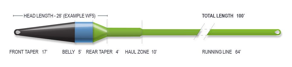 Airflo Superflo Ridge 2.0 Streamer Max Short Fly Line - view 3
