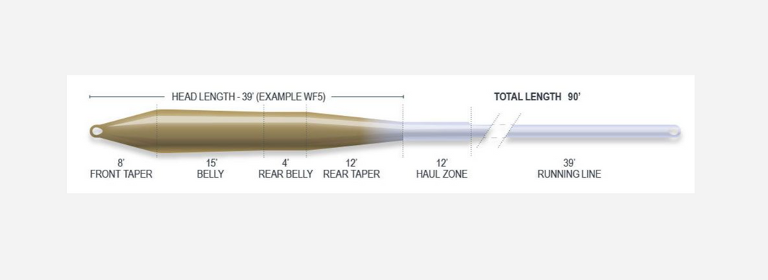 Airflo Superflo Ridge 2.0 Universal Taper Floating Fly Lines