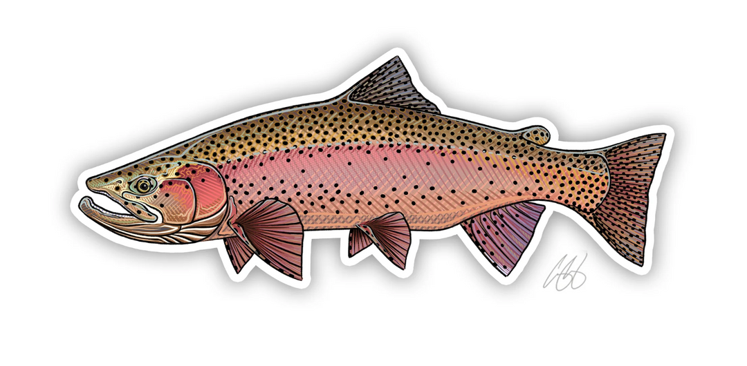 Casey Underwood Spring Rainbow Trout Decal Sticker